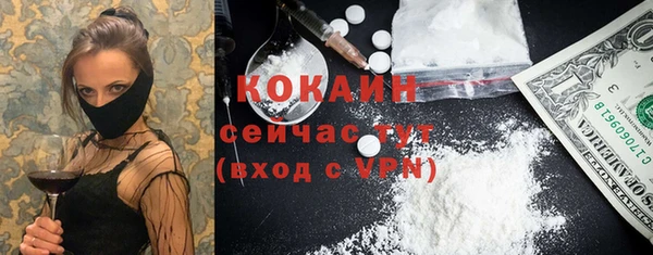 гидра Балахна