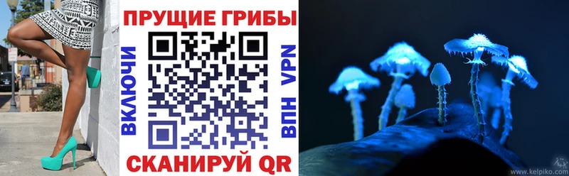 цена наркотик  Лесозаводск  Псилоцибиновые грибы Magic Shrooms 